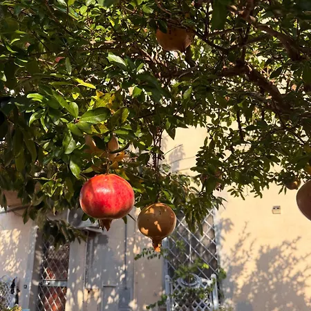 La Casa Dei Melograni Ferienhaus *